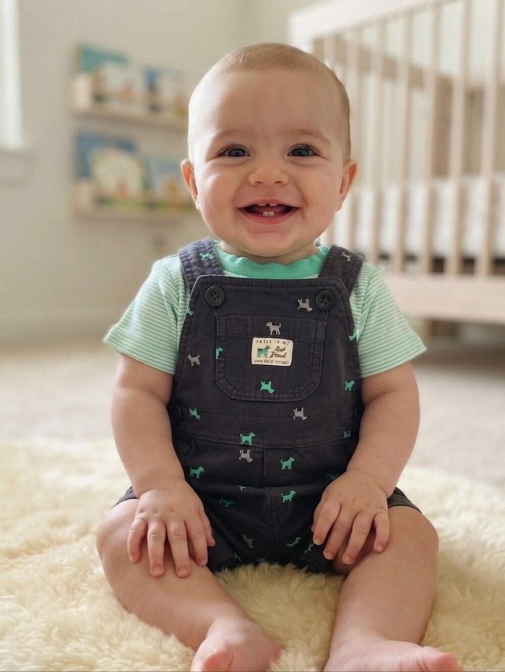 Carter's 6M Kids' Blue and Gray Overalls Set